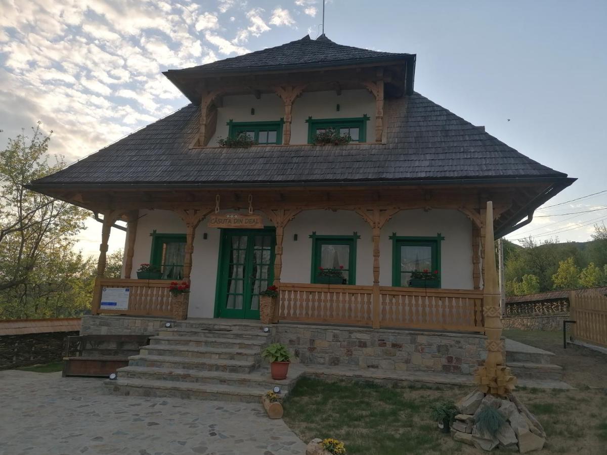Pensiunea Casuta Din Deal Moisei Exterior foto